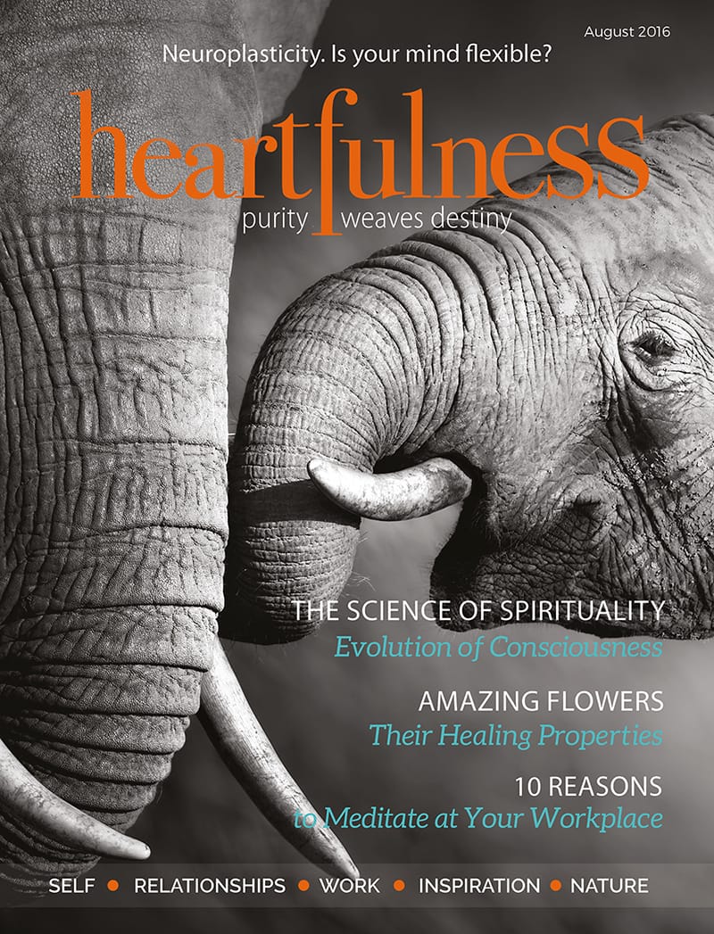 Revista Heartfulness nr 10 - 2016